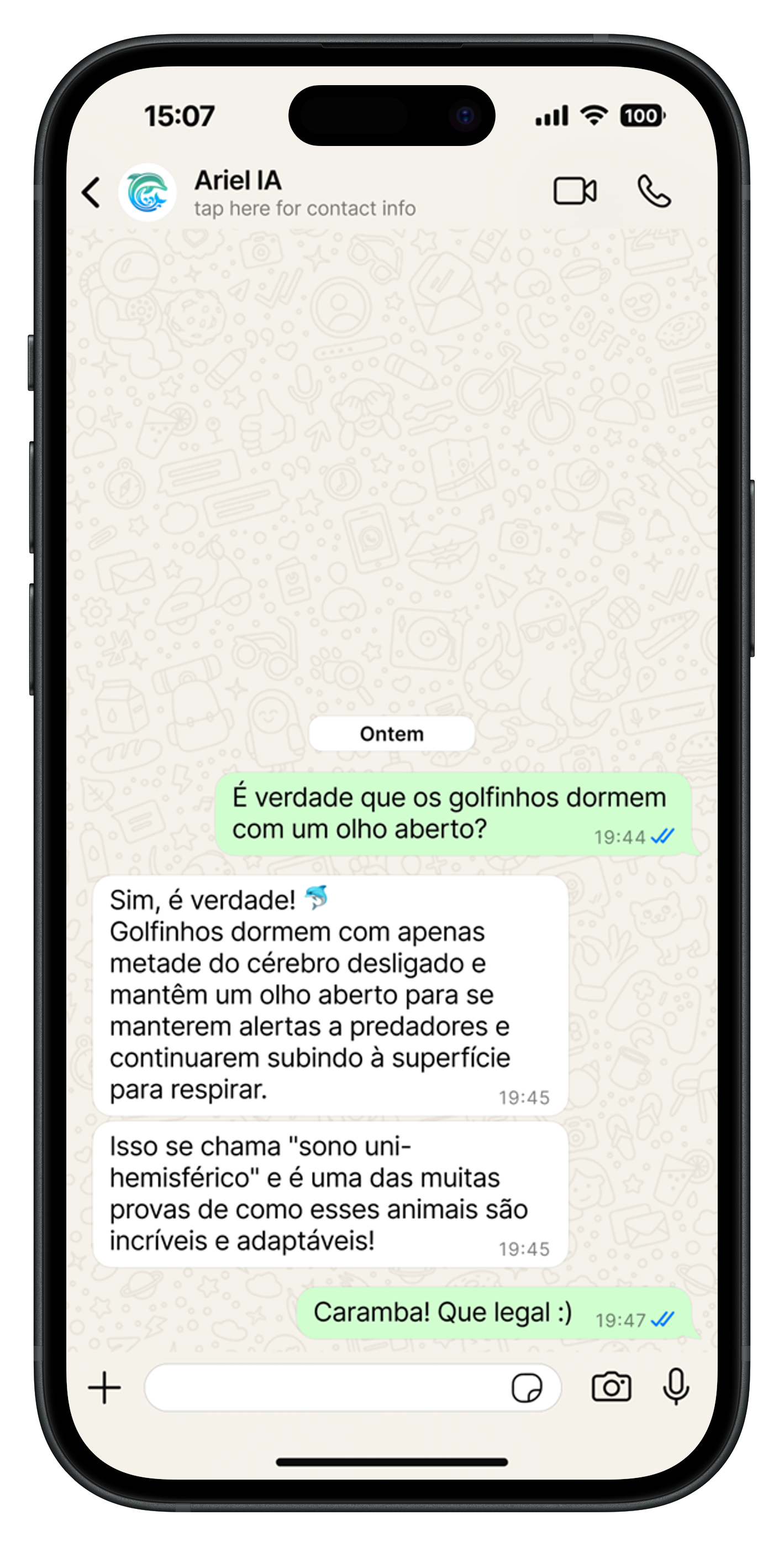 Chat 4
